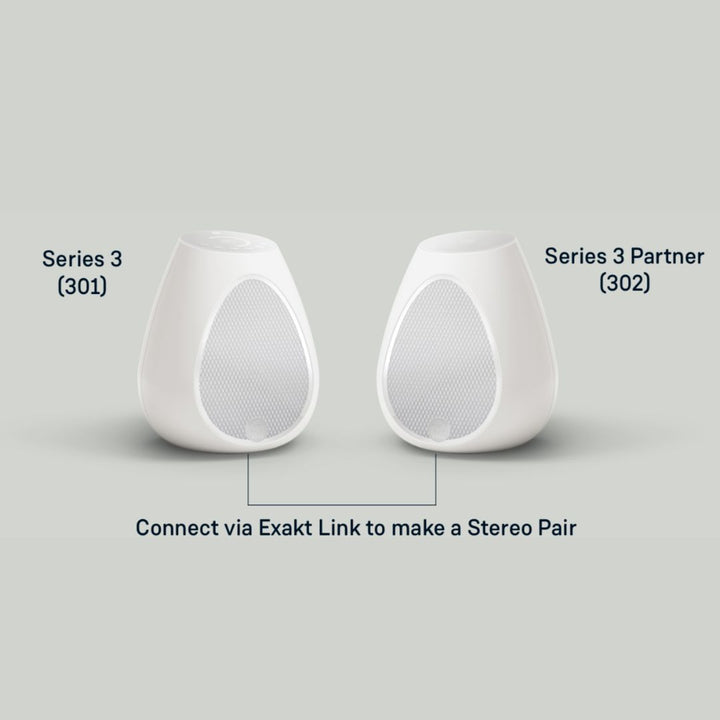 Series 3 - 301 & 302 Streaming stereo systeem