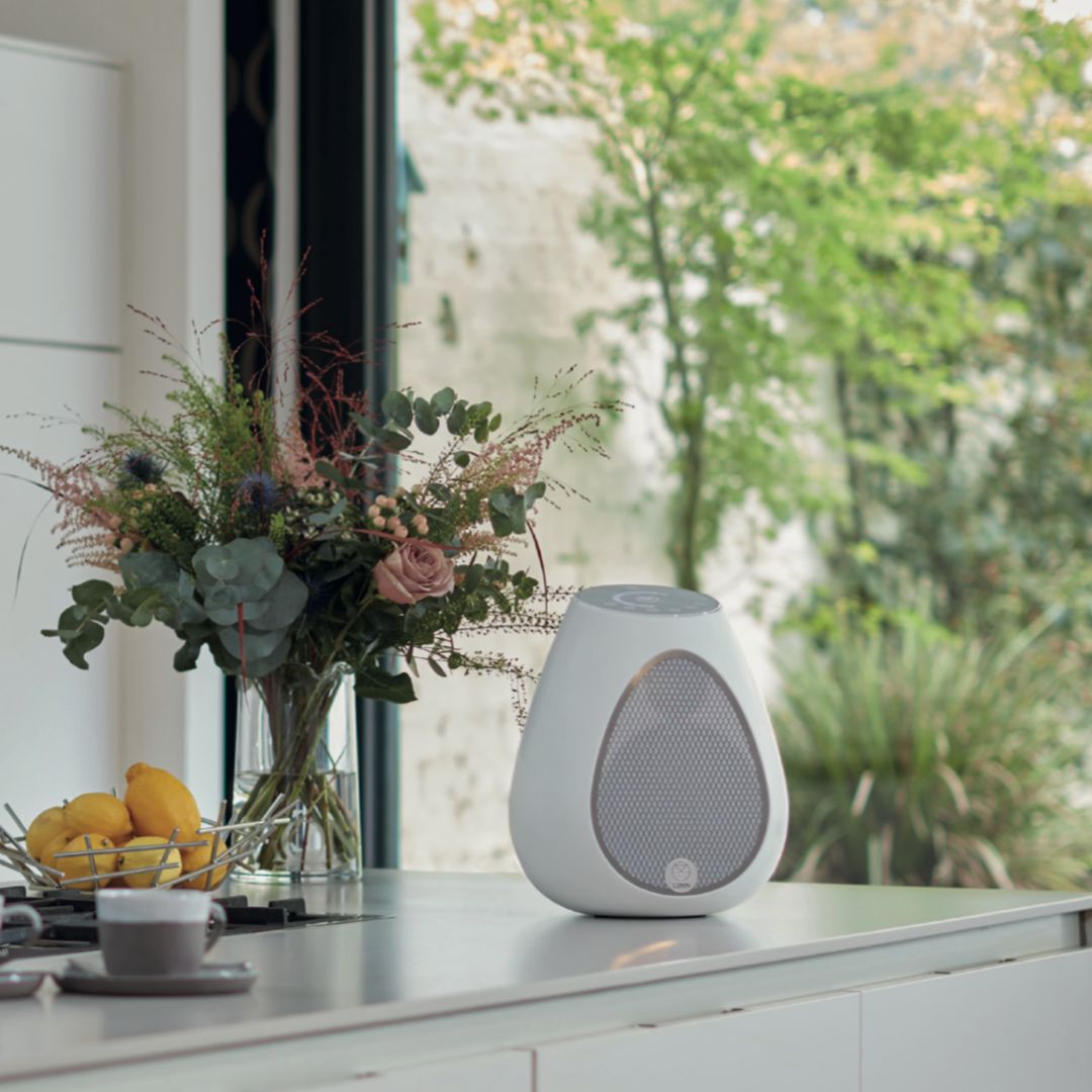 Series 3 - 301 Streaming Speaker Systeem